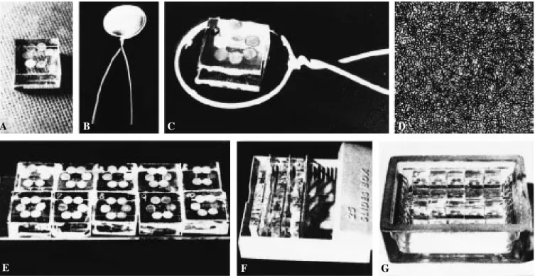 Figure 5 - Photographs showing the standard procedure for preparing EMRAG by the wire-loop method