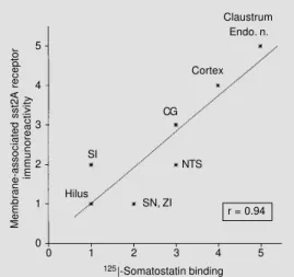 Figure 2 - Correlation between the density of  membrane-asso-ciated immunoreactive sst2A  re-ceptors and that of  somatosta-tin-binding sites documented by quantitative autoradiography  us-ing sst2-preferrus-ing ligands