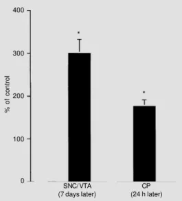 Figure 2 - Effects of a nigral 6- 6-hydroxydopamine (6-OHDA)  in-jection on the basic fibroblast growth factor (bFGF) mRNA  lev-els in the ipsilateral pars  com-pacta of the substantia nigra (SNC), ventral tegmental area (VTA) and caudate putamen (CP) nucl