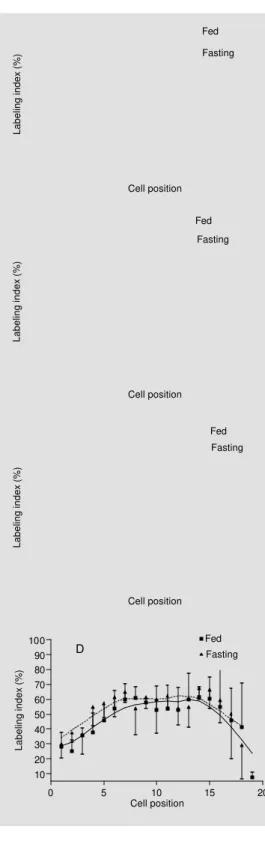Figure 3 - Labeling index distribution curves (%) for each cell position along a crypt-column in fed and  fast-ing rats at different times after injection of [ 3 H]TdR (A at 1 h; B at 8 h; C at 13 h, and D at 19 h)