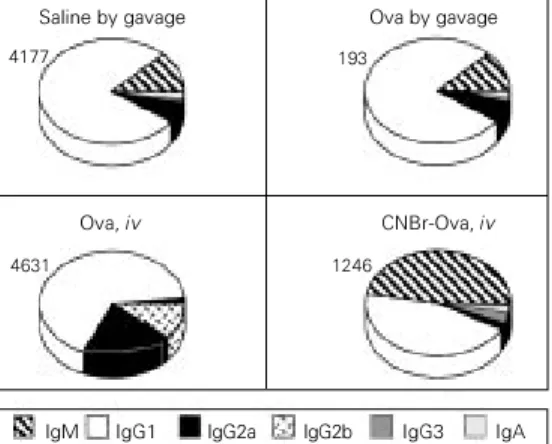 Figure 5 shows that, at least for young mice, 5 daily consecutive gavages are as efficient as voluntary ingestion of the same dose of ovalbumin for 5 days for oral  toler-ance induction as compared to the single gavage protocol