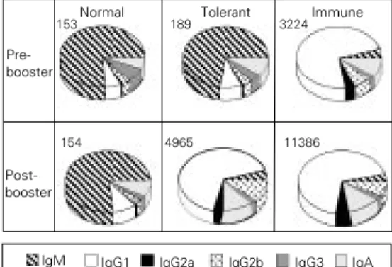 Figure 3 - Isotypic pattern of anti- anti-Ova antibodies in 70-week-old mice orally treated when 8 weeks old and boosted after 52 weeks