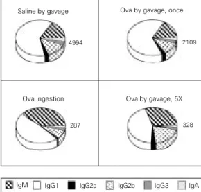 Figure 5 shows the isotypic pattern of anti-Ova antibodies in 8-week-old mice treated by the oral route with a single gavage of saline, a daily gavage of 20 mg Ova or voluntary ingestion of 4 mg/ml Ova in water for 5 days