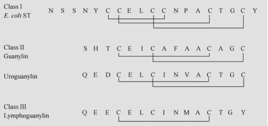 Figure 3 - Comparison of the primary structures of subclasses w ithin the guanylin family of biologically active peptides