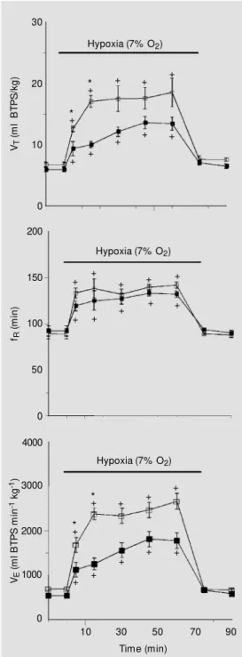 Figure 3 shows the effect of hypoxia on body temperature of control and LCLR.  Af-ter hypoxia, a significant decrease in body temperature was observed in both control (P&lt;0.05) and LCLR (P&lt;0.05), but the  hy-poxia-induced hypothermia was reduced in LC