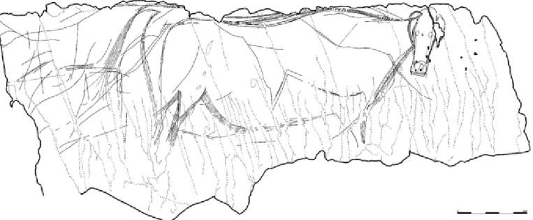 Fig. 8. Tail swatting aurochs (figure enhanced).  