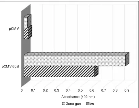 Figure 1 shows that specific anti-ß-galac- anti-ß-galac-tosidase antibody responses were raised 