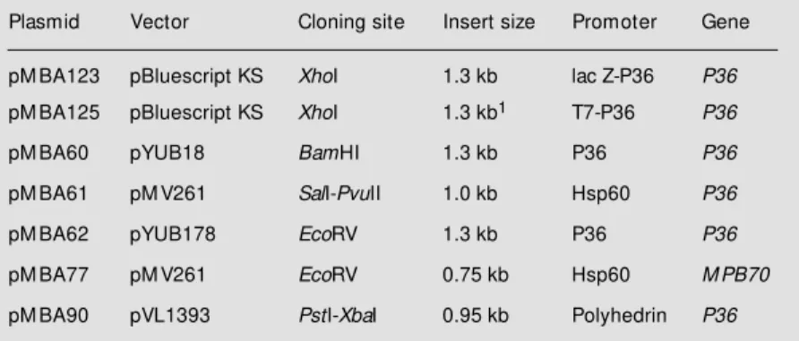 Table 1 - M ain features of plasmid constructions.