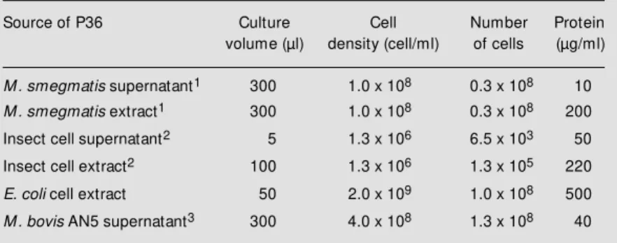 Table 2 - Amount of cells that produce detectable P36 in Western blots.