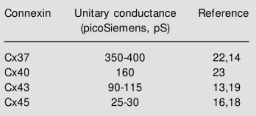 Table 1 - Unitary conductance of the four connexin types found in the vascular system.