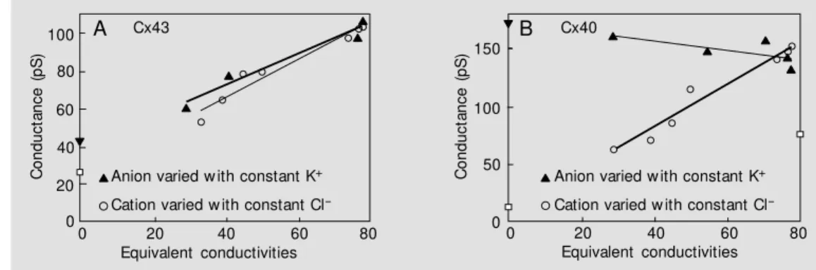 Figure 1A shows two data sets taken from Wang and Veenstra (20) for Cx43 where unitary conductance is plotted against the cation mobility of the major cation in the pipette solution when Cl is the major anion (circles)
