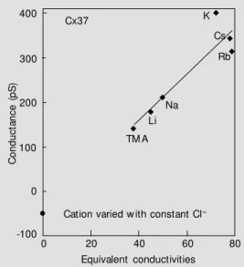Figure 2 - M easured unitary con- con-ductance for Cx37 w ith various cations, w ith Cl -  again  remain-ing constant
