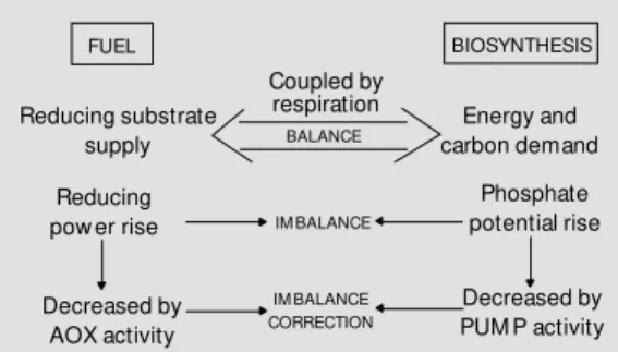 Figure 1 - Energy balance of the cell. Proposed roles of  al-ternative oxidase (AOX) and plant uncoupling m  itochon-drial protein (PUM P) in energy imbalance of cell metabolism (see text)