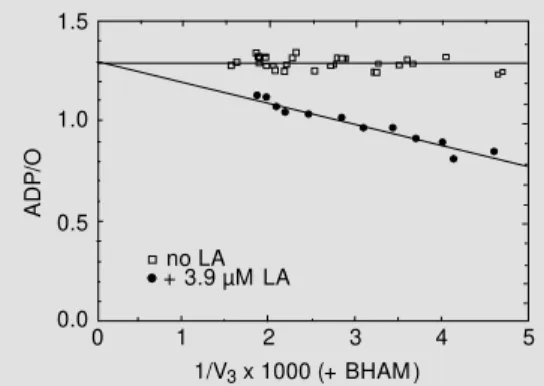 Figure 7 shows the effect of AOX activ- activ-ity on the ADP/O ratio plotted against 1/V 3