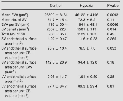 Table 2 - Vascular endothelial surface areas of control and hypoxic rat carotid bodies (CB), mean extravascular area (EVA), number of small vessels, extravascular area per small vessel, small vessel density, and total number of small vessels, all based on 