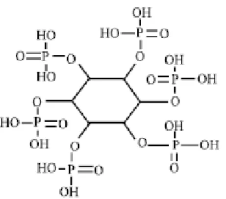 Figura  1.  Estrutura  do  ácido  fítico  em  pH  ácido,  elucidando  o  encontrado  no  proventrículo e moela de aves (Adaptado de COULIBALY et al., 2011) 