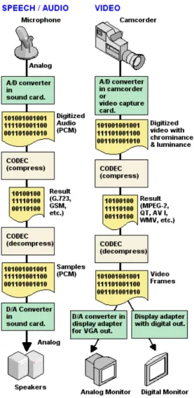 Figura 4.  - Conversão dos sinais analógicos áudio e vídeo desde a sua captura (The  Computer Desktop Encyclopedia, 2007) 