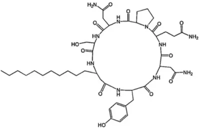 Figure I-4: Structure of an iturin member synthesised by Bacillus species. Adapted from (Ongena  and Jacques, 2008)