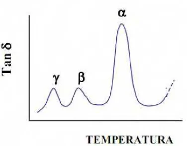 Figura 18 – Curva típica de polímeros amorfos em DMA, em que Į corresponde a transição primária (Tg); 