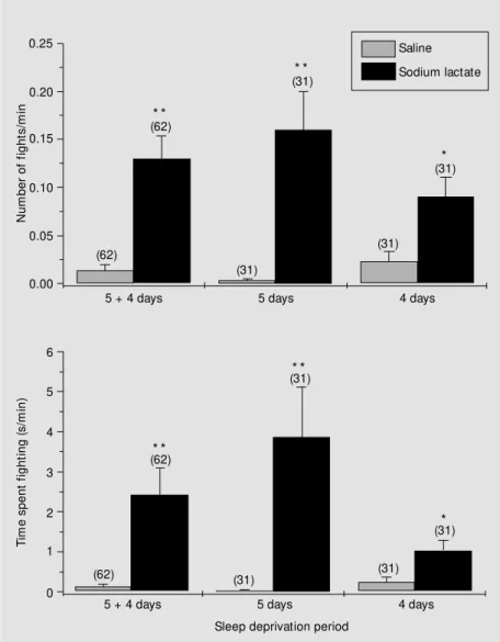 Figure 1 - Fighting in sleep-deprived rats after lactate administration. M ean (± SEM ) number of fights per minute (upper graph) and time spent fighting per minute (low er graph) as a function of deprivation of desynchronized sleep time in rats that recei