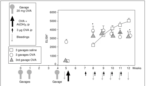 Figure 2 - Booster effect on the antibody response of parenterally immunized mice. After an initial bleeding to assess natural antibody levels, mice received 10 µg OVA + 1 mg Al(OH) 3  ip: starting 14 days later, a  se-quence of 6 w eekly challenges w ith 