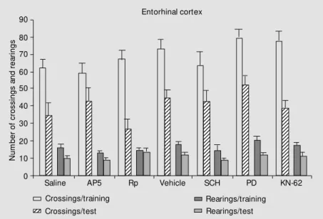 Figure 2 - Same as Figure 1, but using bilateral infusions into the entorhinal cortex