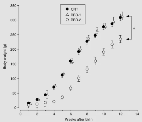 Figure 1 - Time course of body w eight of offspring born to mothers receiving the regional basic diet (RBD) during pregnancy (RBD-1) or during nursing (RBD-2) and of those born to dams fed a standard balanced diet during pregnancy and nursing (CNT)