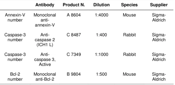Tabela 1 – Detalhes dos anticorpos primários utilizados na imunofluorescência 
