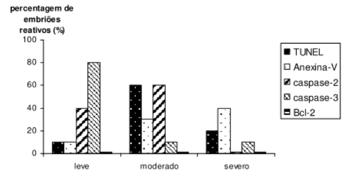 Figure 1. Análise semi-quantitativa de acordo com a intensidade da imunomarcação      para os testes de  TUNEL, Anexina-V, caspase-2, -3 e Bcl-2