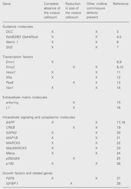 Table 1. Genes associated with agenesis of the corpus callosum in mice.