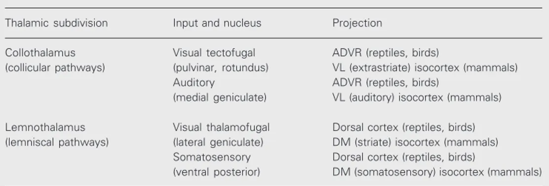 Table 1. Subdivisions of thalamic nuclei (10).