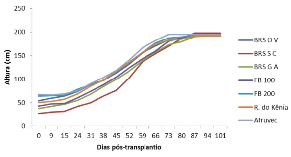Figura 2. Altura da haste principal dos genótipos de maracujazeiro até atingir o arame  de sustentação, São Manuel-SP, 2011