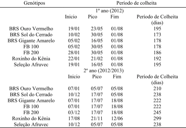 Tabela 6 - Período de colheita dos frutos do maracujazeiro em função dos diferentes  genótipos, São Manoel-SP, 2012-2013