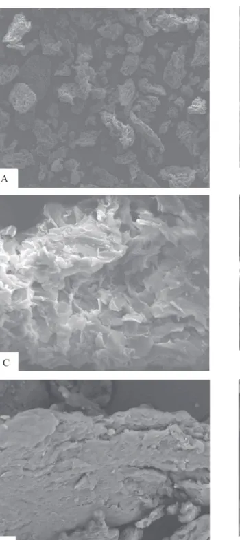 Figura 3. Microscopia eletrônica de varredura das fibras de soja sob a forma de fibra alimenar original (A),  micronizada  (B)  (160x),  original  hidrolisada  com  protease  (C),  micronizada  hidrolisada  com  protease  (D),  original hidrolisada com car