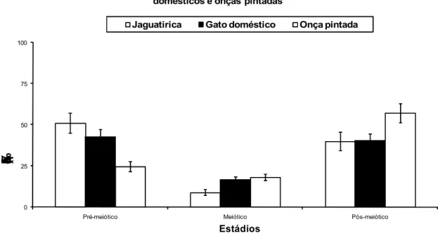 Fig.  5 – Frequências  comparativas  (média  ±  EPM)  dos  estádios  do ciclo agrupados  em  pré-meiótico  (Estádios V–VII), meiótico (Estádio VIII)  e pós-meiótico (Estádios I–IV), caracterizados com base no  sistema acrossômico em jaguatiricas (no presen