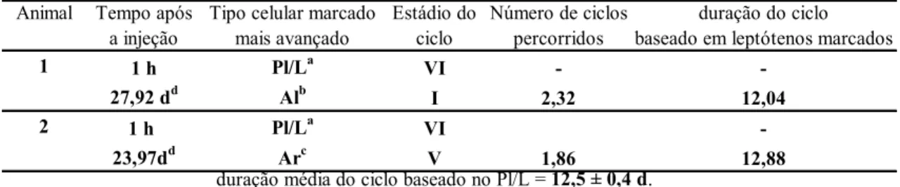 Tabela   2   –   Duração   (dias)   do   ciclo   do   epitélio   seminífero   em  jaguatiricas   (média   ±  EPM).