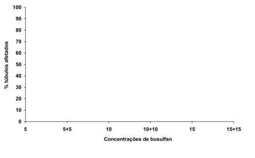 Figura 4. Percentual de túbulos seminíferos afetados em graus variados pelo tratamento com busulfan