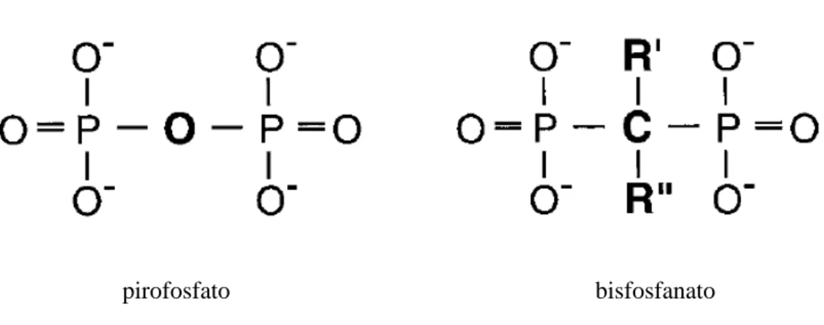 Figura  1  –  Estrutura  química  do  pirofosfato  e  bisfosfonato  (adapatado  de  FLEISH,  1998)
