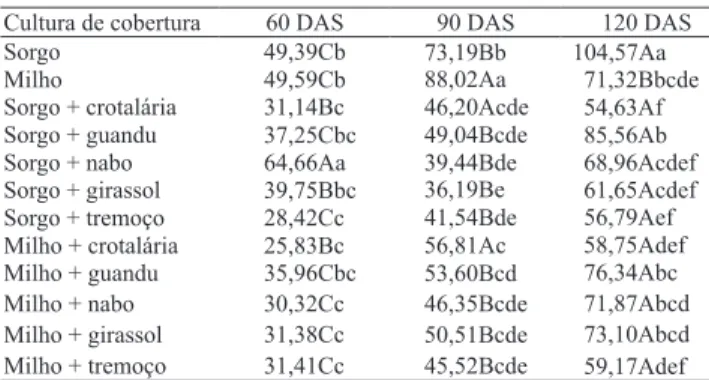 Tabela  3.  Relação  C/N  de  fitomassa  produzida  em  monocultivos  de  sorgo  e  milho  e  em  seus  consórcios  com  crotalária,  guandu-anão,  nabo  forrageiro,  girassol  e  tremoço  branco, cortados aos 60, 90 e 120 dias após a semeadura (DAS).