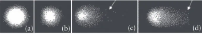Figure 1.  DNA damage measured by comet assay in lymphocytes. [a] Sample from healthy control [S4 – male, 26 years – 3.4% Tail DNA]; [b] Sample from  ulcerative colitis [UC] patient [S120 – male, 41 years, 5-ASA – 2.8% Tail DNA]; [c] Sample from Crohn’s di