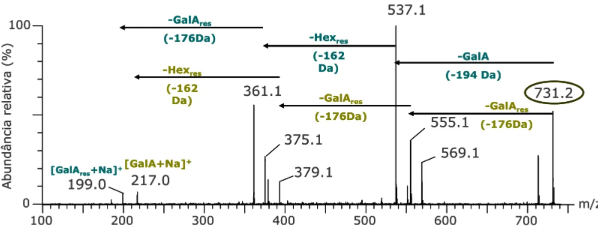Figura 4 – Espectros de ESI-MS/MS relativo ao ião m/z 731. 