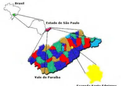 FIGURA 3 - Localização da área de estudo 