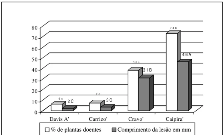 FIG. 1 - Porcentagem de plantas doentes e comprimento médio (mm) de lesões causadas  Phytophthora parasitica em quatro genótipos de citros (Citrus spp.) dez dias após inoculação