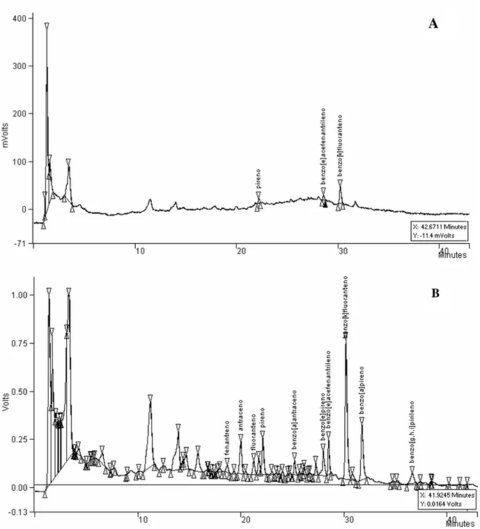 Figura 2: Cromatogramas obtidos nas análises por HPLC/Flu dos extratos das amostras de material  particulado atmosférico nas épocas de não queima (A) e de queima (B) de cana-de-açúcar