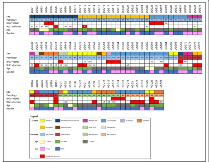 Table S1. In grade I gliomas (referred in Additional file 1: Table S1 as LGG1 to LGG66, and LGG82): 32 cases were females and 35 were males, the mean age in this group was of: 9.25 years (range from 5 months to 17 years); In grade II gliomas (referred as L