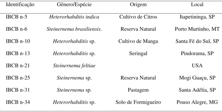 Tabela 1. Identificação e procedência dos isolados de nematóides entomopatogênicos. 