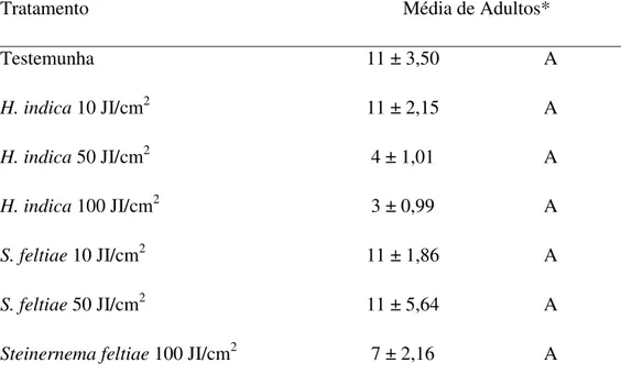 Tabela 1. Emergência de adultos (± Erro Padrão) de Bradysia mabiusi, de vasos de  Chrysanthemum sp