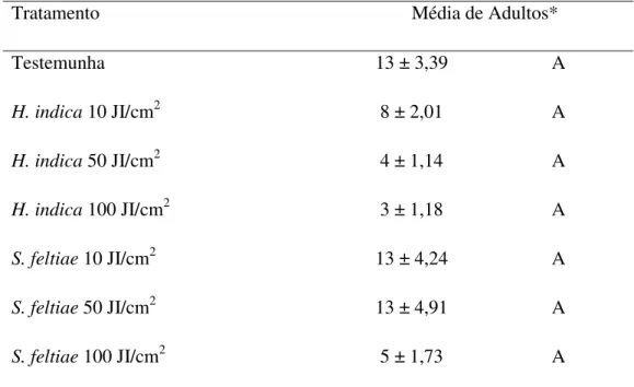 Tabela 2. Emergência de adultos (± Erro Padrão) de Bradysia mabiusi, de vasos de  Chrysanthemum sp