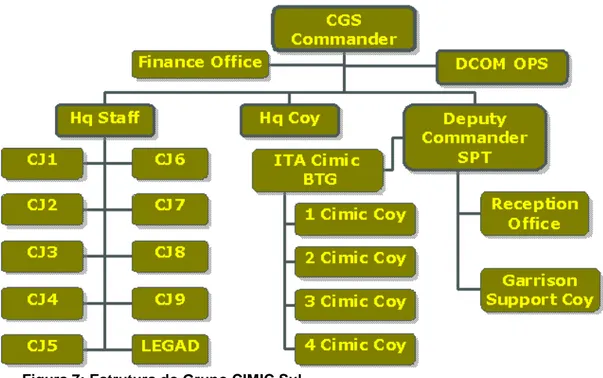 Figura 7: Estrutura do Grupo CIMIC Sul   Fonte: (www.cimicgroupsouth.org) 