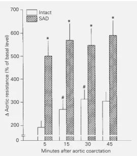 Figure 3 - Bar graph showing change as percentage of basal level (∆%) in calculated aortic  re-sistance due to aortic  coarcta-tion in conscious unrestrained intact and sinoaortic denervated (SAD) rats